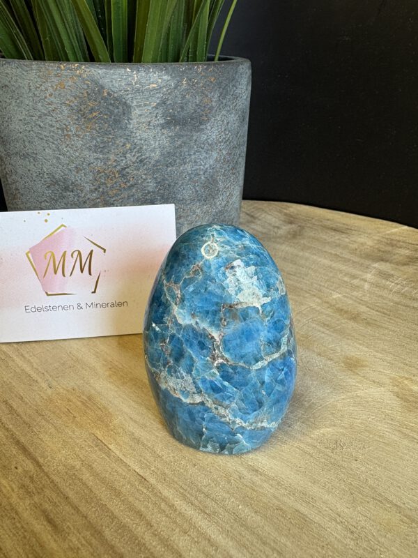 IMG_4250 Apatiet Sculptuur – 6,5 x 4,5 cm