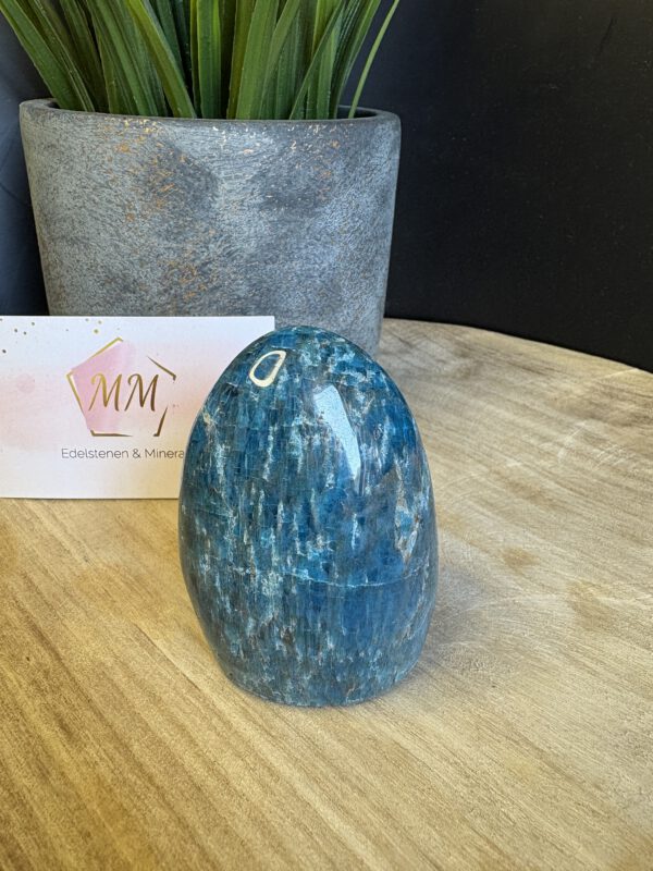 IMG_4252 Apatiet Sculptuur – 7,5 x 5 cm