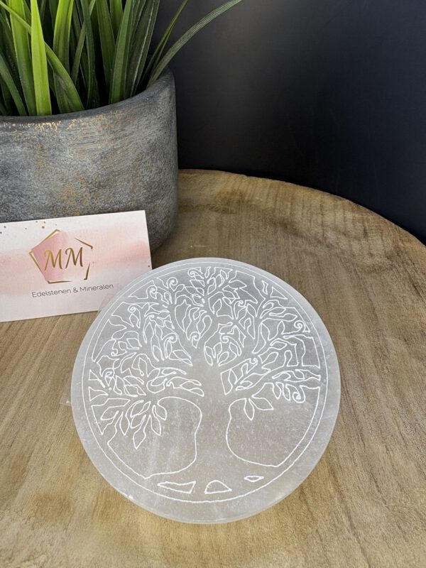 Seleniet Schijf met Gegraveerde Boom – 10 cm