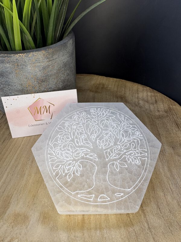 Seleniet Hexagon – 12 cm met Gegraveerde Boom