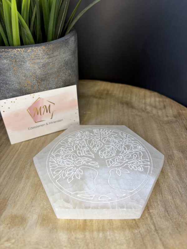 Seleniet Hexagon – 12 cm met Gegraveerde Boom