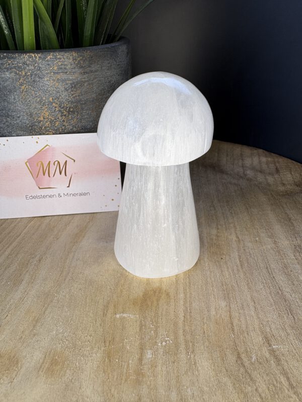 Seleniet Paddenstoel – 10 cm