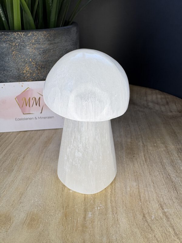 Seleniet Paddenstoelen Set – 4 cm, 7 cm & 10 cm