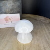 Seleniet Paddenstoel – 4 cm