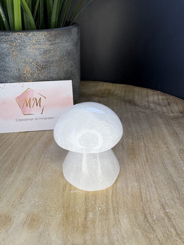 Seleniet Paddenstoelen Set – 4 cm, 7 cm & 10 cm