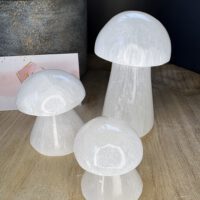 Seleniet Paddenstoelen Set – 4 cm, 7 cm & 10 cm