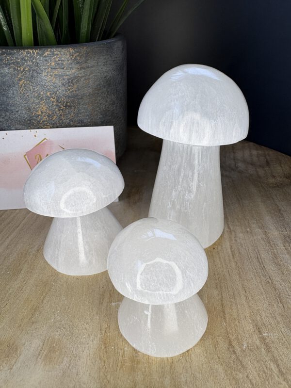Seleniet Paddenstoelen Set – 4 cm, 7 cm & 10 cm